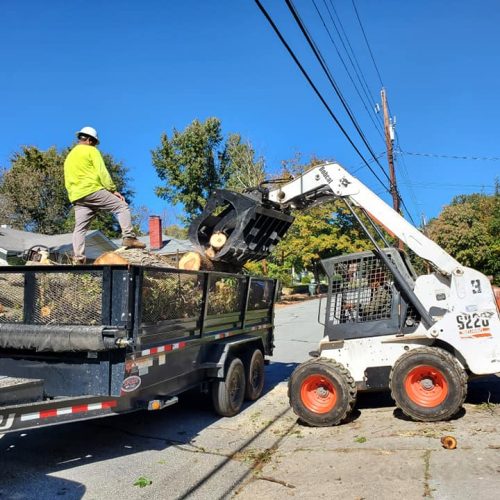 loading tree logs using a Bobcat loader