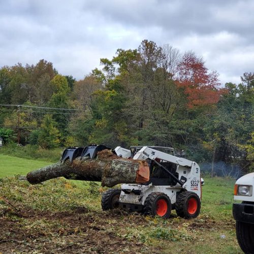 A Bobcat loader carries a large log in a field, with trees and a cloudy sky in the background