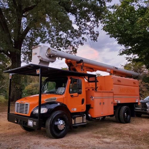 Tree Cutting truck