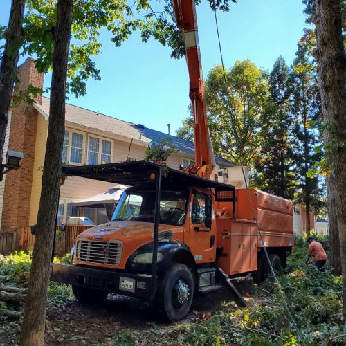 Tree cutting truck machine